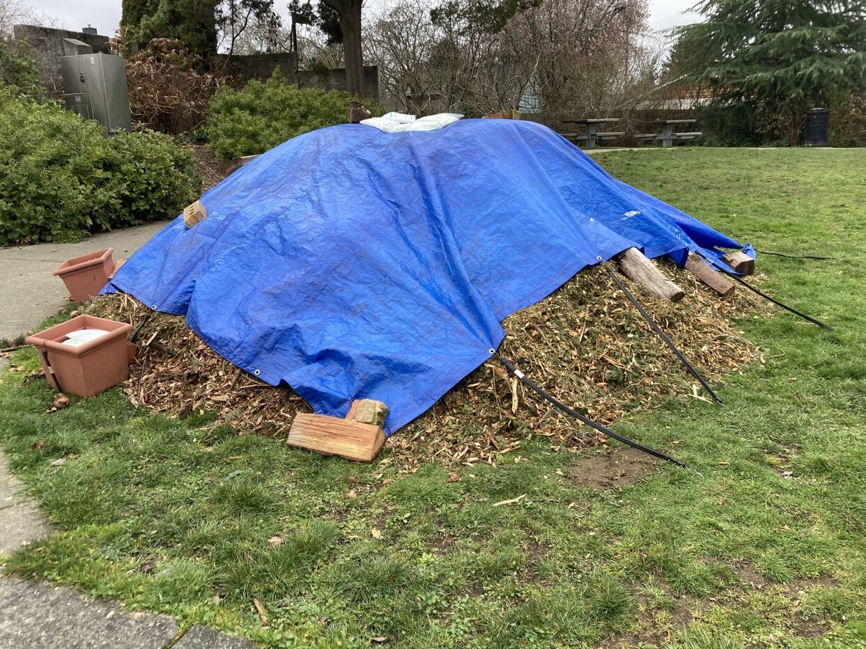 Mulch Mountain