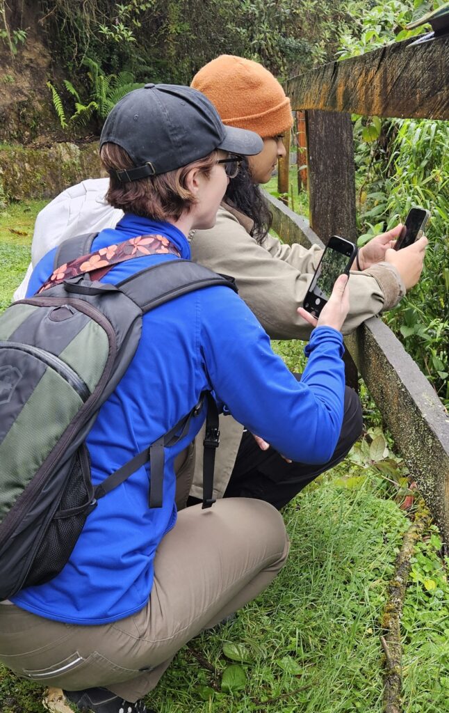 Citizen scientists record city nature sightings using the iNaturalist app. Photo courtesy iNaturalist.